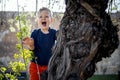 A small boy having fun climbing up on the tree in the park Royalty Free Stock Photo