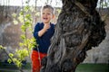 A small boy having fun climbing up on the tree in the park Royalty Free Stock Photo