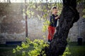 A small boy having fun climbing up on the tree in the park Royalty Free Stock Photo