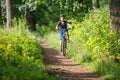 Small boy in helmet riding bicycle in park Royalty Free Stock Photo