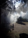 Small boy running through forest shrouded in smoke Royalty Free Stock Photo