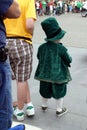 Small boy on St Patrick's Day Parade Royalty Free Stock Photo