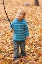 Small boy stands on the yellow leaves.