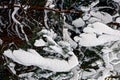 Winter forest with branches and trees under the snow Royalty Free Stock Photo