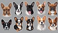 Small breed dogs stickers. Chihuahua, french Bulldog, Cavalier King Charles Spaniel, Welsh Corgi, Papillon dog portrait.