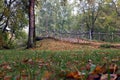 Small bridge in the autumn Park