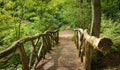 Small Bridge in bright green forest. Natural composition Royalty Free Stock Photo