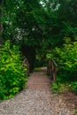 A small bridge among the dense green vegetation in the park. Royalty Free Stock Photo