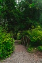 A small bridge among the dense green vegetation in the park. Royalty Free Stock Photo