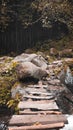 a small bridge made of planks over a creek in the forest Royalty Free Stock Photo