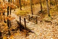 Small bridge made of wood in the forest Royalty Free Stock Photo