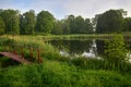 Misty morning in Europe. Green park in Lithuanian rural.