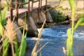 Small bridge with open floodgates on a river