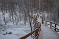 Small bridge over the creek, beautiful winter landscape Royalty Free Stock Photo