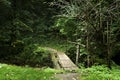 Small bridge over creek in the forest Royalty Free Stock Photo