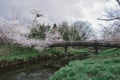 A small bridge over a creek with many trees and grass. Photoed Royalty Free Stock Photo