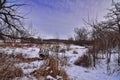 Small bridge over mount vernon creek Royalty Free Stock Photo