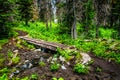 Small bridge over a muddy creek on a hike through Alpine forest to Tod Mountain Royalty Free Stock Photo