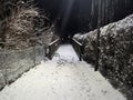 A small bridge over a river covered in snow Royalty Free Stock Photo