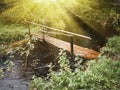 Small bridge over river in forest on sunset background Royalty Free Stock Photo