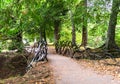 A small bridge over a stream in Inverness public park next to river Ness