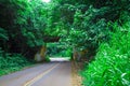 Small bridge overpass in Kauai Hawaii Royalty Free Stock Photo