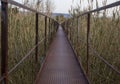 Small Bridge River Italy Sunny Day Spring Between Reeds Blue Sky Iron Bridge Over the River Royalty Free Stock Photo