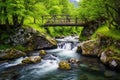 a small bridge spans over a rushing hot spring creek Royalty Free Stock Photo