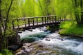 a small bridge spans over a rushing hot spring creek Royalty Free Stock Photo