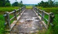 A small bridge to cross to a barren rice Royalty Free Stock Photo