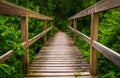 Small bridge on a trail in Codorus State Park