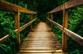 Small bridge on a trail in Codorus State Park, Pennsylvania. Royalty Free Stock Photo