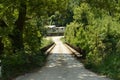 A small bridge between trees Royalty Free Stock Photo