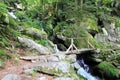 Small bridge in the valley of Munster Royalty Free Stock Photo