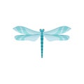 Small bright blue dragonfly with two pairs of fragile wings. Beautiful flying insect. Flat vector for textile or