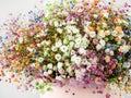 Small bright flowers of gypsophila close-up, bouquet