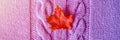 Small bright red dry autumn maple leaf on purple knitted texture fabric or sweater with pigtails. warm and cozy fall concept. clos Royalty Free Stock Photo
