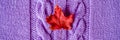 small bright red dry autumn maple leaf on purple knitted texture fabric or sweater with pigtails. warm and cozy fall concept. clos Royalty Free Stock Photo