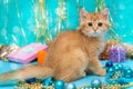 Small British kitten and Christmas decorations Royalty Free Stock Photo
