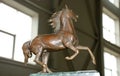 A small bronze figurine of a horse. Royalty Free Stock Photo