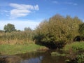 Small brook in autumn Royalty Free Stock Photo