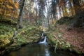 Small brook in black forest, Germany Royalty Free Stock Photo