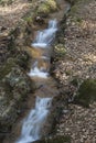 Small brook at the casino park in spring