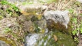 Small brook flowing among mountain stones. Media. Close-up of clean source flows down stream on mountain mossy stones