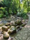 a small brook in the forest with rocks Royalty Free Stock Photo