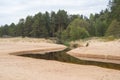 Small brook running through the sandy dunes grown by pine forest