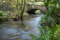 The small brook and stone bridge in the forest at the ancient Glendalough mystery site in the Wicklow mountains in Ireland