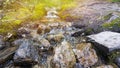 Small brook and stones Royalty Free Stock Photo