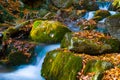 small brook with waterfall rushing in mountain canyon among a stone Royalty Free Stock Photo