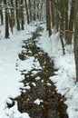 Small brook in winter Royalty Free Stock Photo